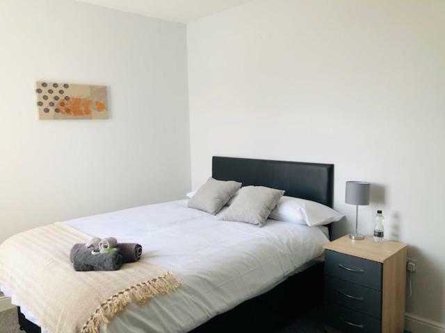 Townhouse @ 51 Balfour St, Stoke Hotell Eksteriør bilde